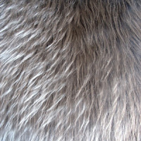 Мех искусственный длинноворсовый  в Нижнем Новгороде