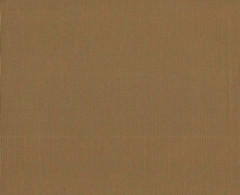 Ткань Оксфорд PVC 420 D 260+/-20гр.м2 (0.25 мм) рул 50м гладь (Бежевый темный)
