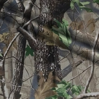 Ткань Оксфорд в Нижнем Новгороде